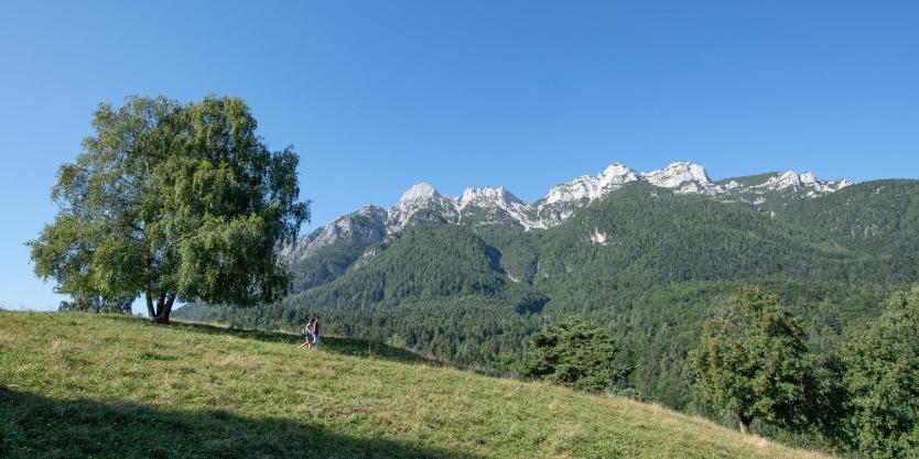 Casa Vacanza Da Nonna Elena Vattaro Esterno foto
